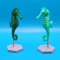 Mô hình cá ngựa trang trí 3D kèm chân đế (Seahorse with stand) - Thumbnail 3