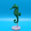 Mô hình cá ngựa trang trí 3D kèm chân đế (Seahorse with stand) - Thumbnail 4
