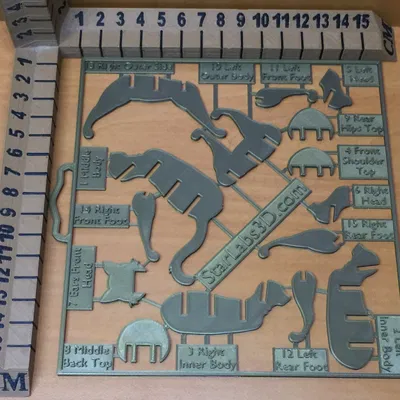 Mô hình lắp ráp Cat Kit Card