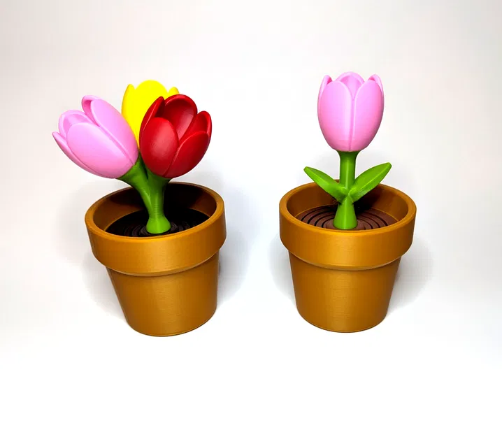 Tulip - Bộ sưu tập hoa lò xo - Image 1