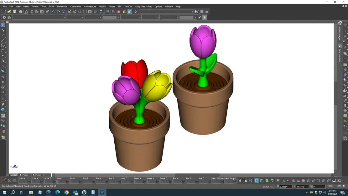 Tulip - Bộ sưu tập hoa lò xo - Image 2