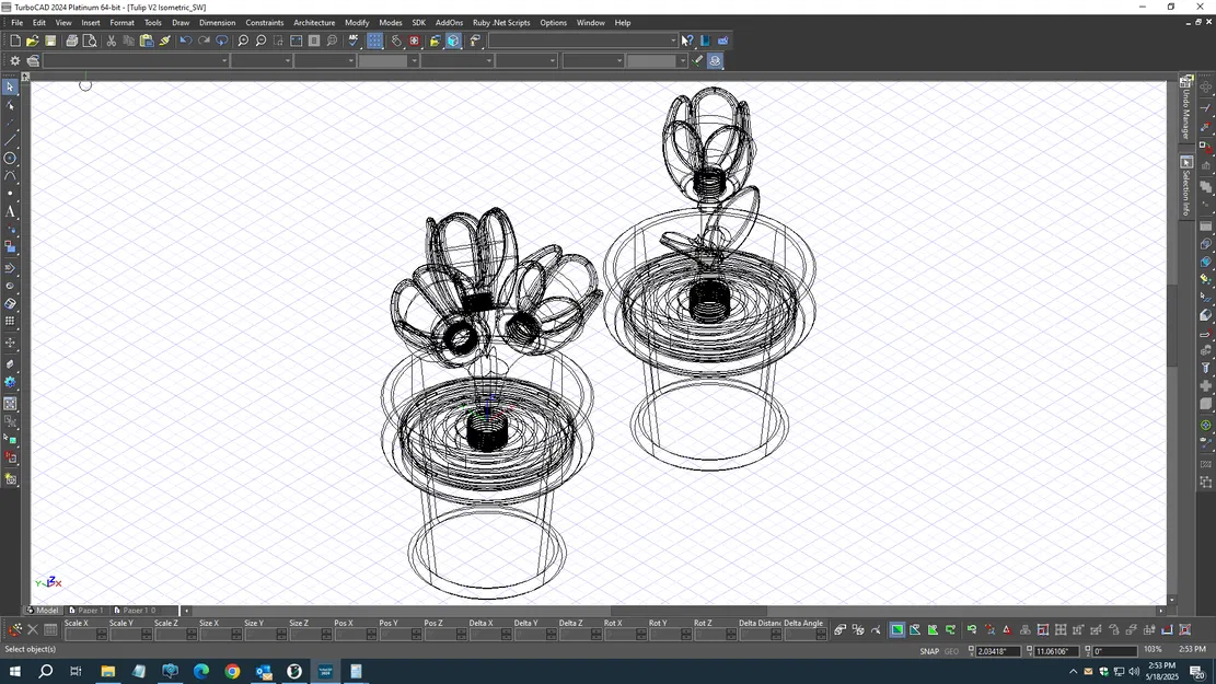 Tulip - Bộ sưu tập hoa lò xo - Image 3