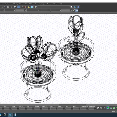 Tulip - Bộ sưu tập hoa lò xo