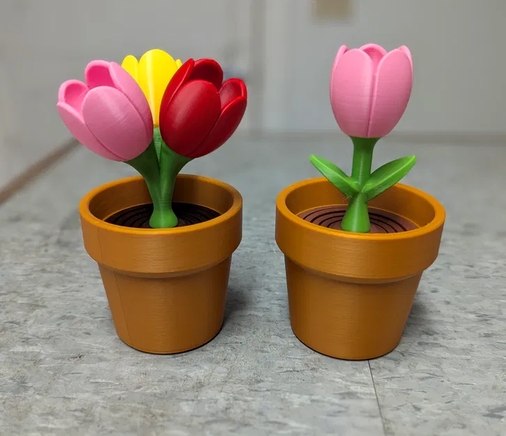 Tulip - Bộ sưu tập hoa lò xo - Image 4