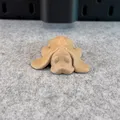 Mô hình chú chó đáng yêu (Cute Dog) - Thumbnail 13