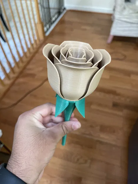 Mẫu Hoa Hồng và Thân Cây (Rose and Stem) - Image 1