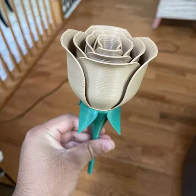 Mẫu Hoa Hồng và Thân Cây (Rose and Stem)