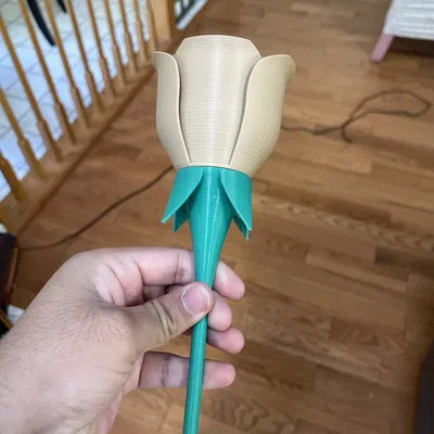 Mẫu Hoa Hồng và Thân Cây (Rose and Stem)