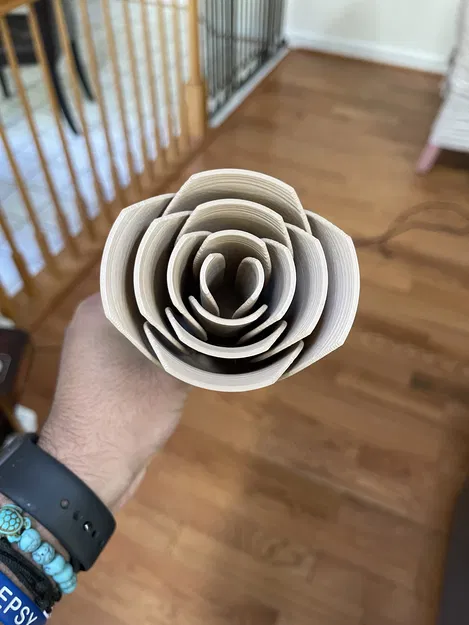 Mẫu Hoa Hồng và Thân Cây (Rose and Stem) - Image 3