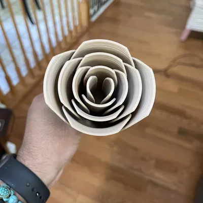 Mẫu Hoa Hồng và Thân Cây (Rose and Stem)