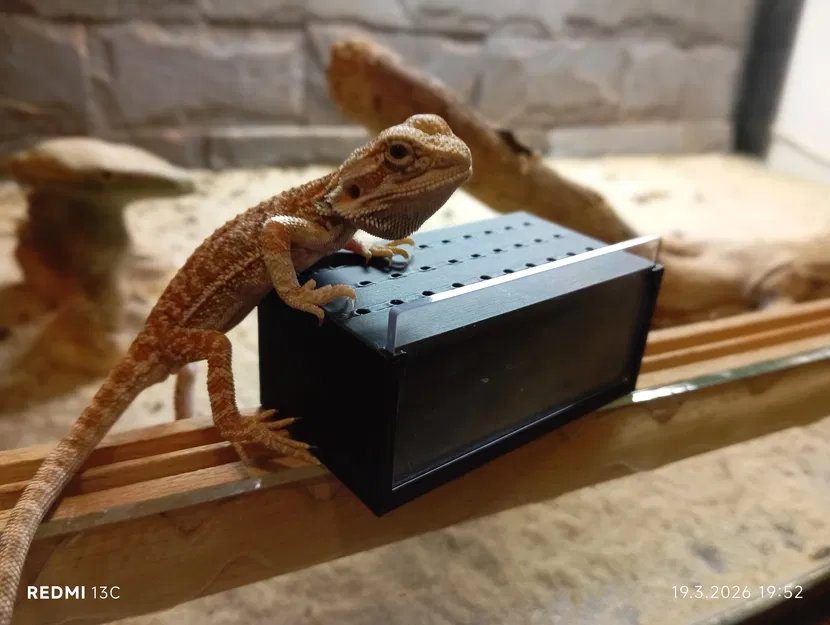 Mô hình Terrarium mini cho côn trùng và bò sát nhỏ (In 3D) - Image 3