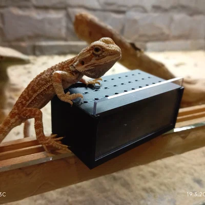 Mô hình Terrarium mini cho côn trùng và bò sát nhỏ (In 3D)