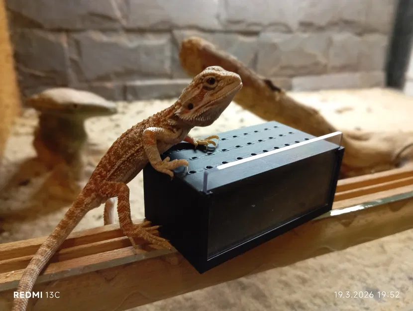 Mô hình Terrarium mini cho côn trùng và bò sát nhỏ (In 3D) - Image 4