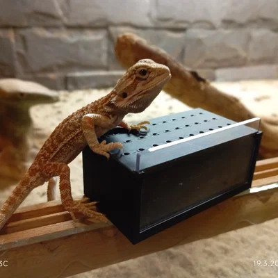 Mô hình Terrarium mini cho côn trùng và bò sát nhỏ (In 3D)