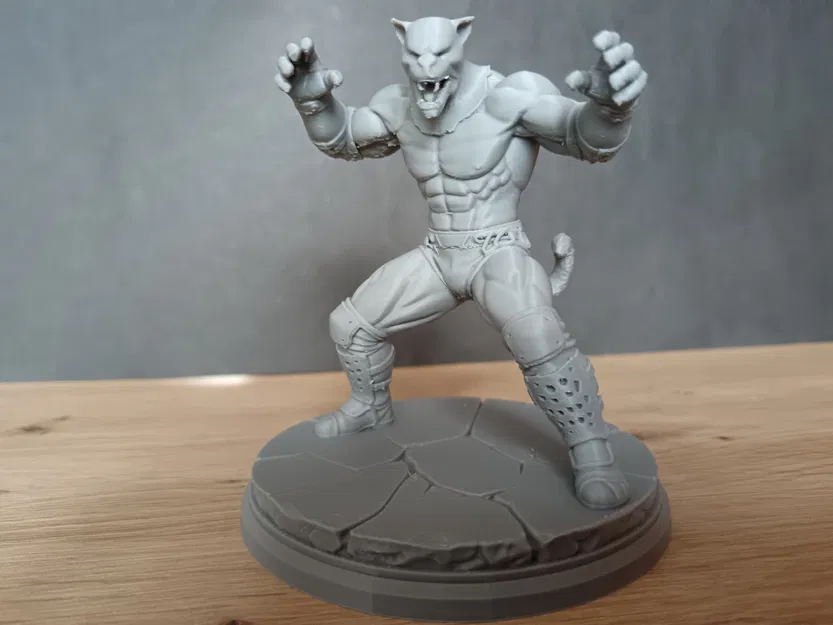 Mô hình 3D nhân vật King từ tựa game Tekken siêu nét - Image 3