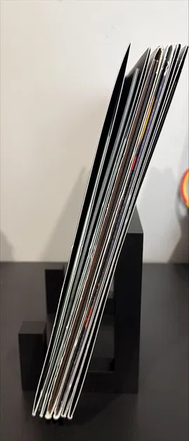 Giá Đỡ Đĩa Than (Vinyl Holder) - Image 1