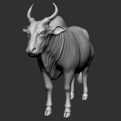 Mô hình 3D chú bò Ấn Độ (Indian Bull) dũng mãnh