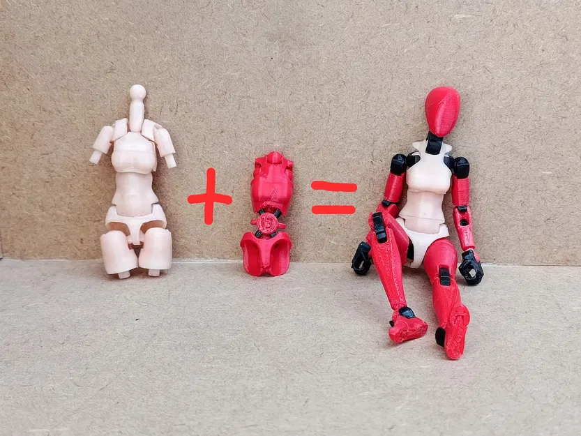 Thân trên phong cách Frame Arms cho Carbon 13 Type F - Image 1