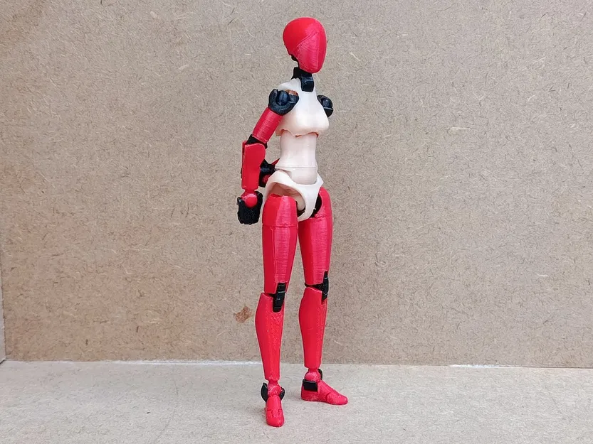 Thân trên phong cách Frame Arms cho Carbon 13 Type F - Image 3