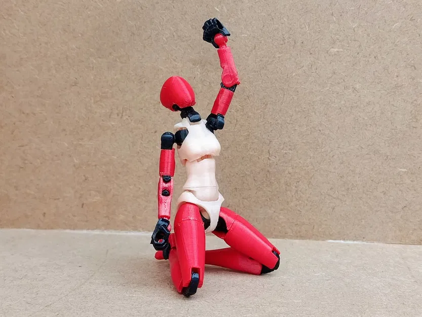 Thân trên phong cách Frame Arms cho Carbon 13 Type F - Image 4