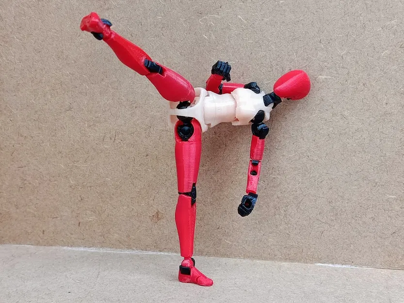 Thân trên phong cách Frame Arms cho Carbon 13 Type F - Image 5