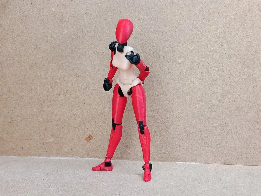 Thân trên phong cách Frame Arms cho Carbon 13 Type F - Image 6