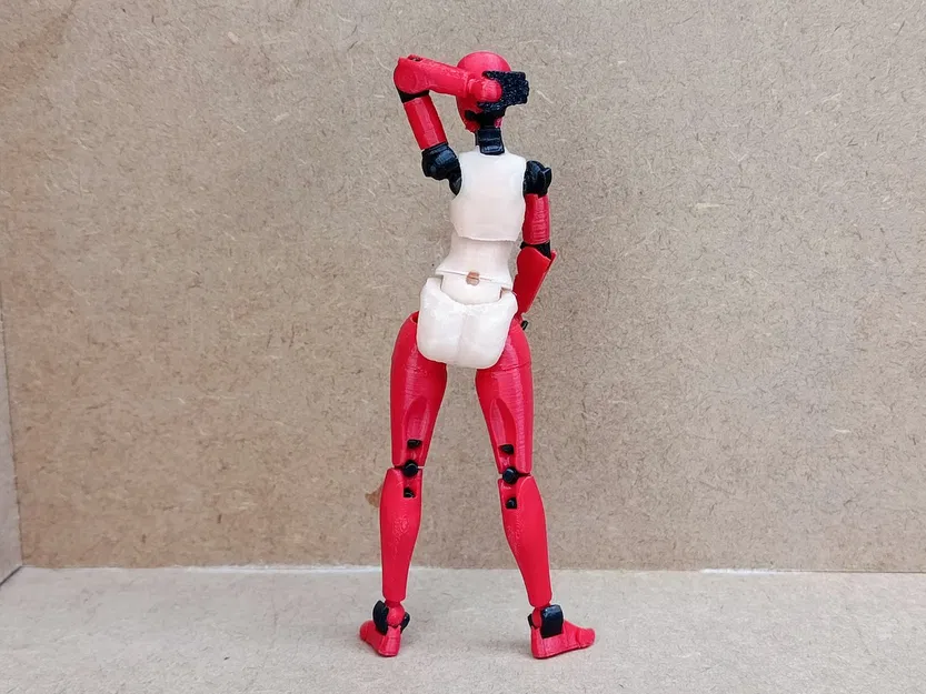 Thân trên phong cách Frame Arms cho Carbon 13 Type F - Image 7