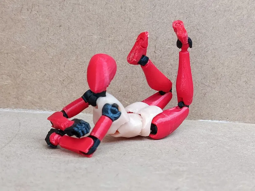 Thân trên phong cách Frame Arms cho Carbon 13 Type F - Image 8