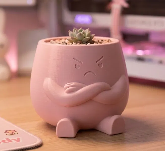 Pouty - Chậu sen đá "hờn dỗi" kiêm vật phẩm trang trí bàn làm việc cực đáng yêu - Image 1