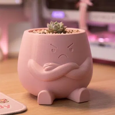 Pouty - Chậu sen đá "hờn dỗi" kiêm vật phẩm trang trí bàn làm việc cực đáng yêu