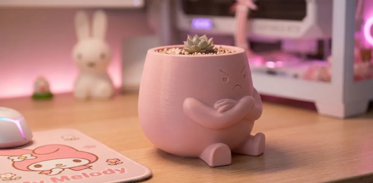 Pouty - Chậu sen đá "hờn dỗi" kiêm vật phẩm trang trí bàn làm việc cực đáng yêu - Image 2