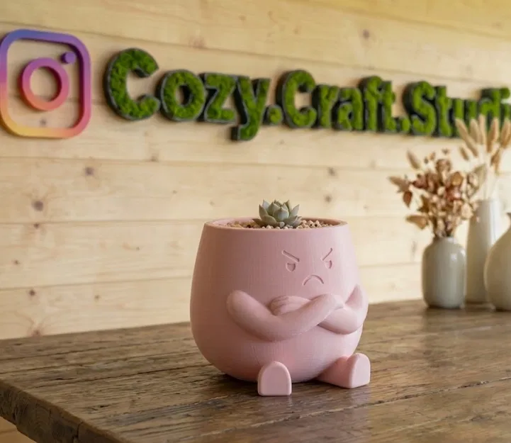 Pouty - Chậu sen đá "hờn dỗi" kiêm vật phẩm trang trí bàn làm việc cực đáng yêu - Image 3