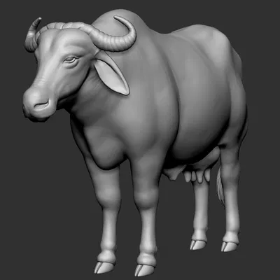 Mô hình 3D trâu nước Ấn Độ (Buffalo) chi tiết sống động