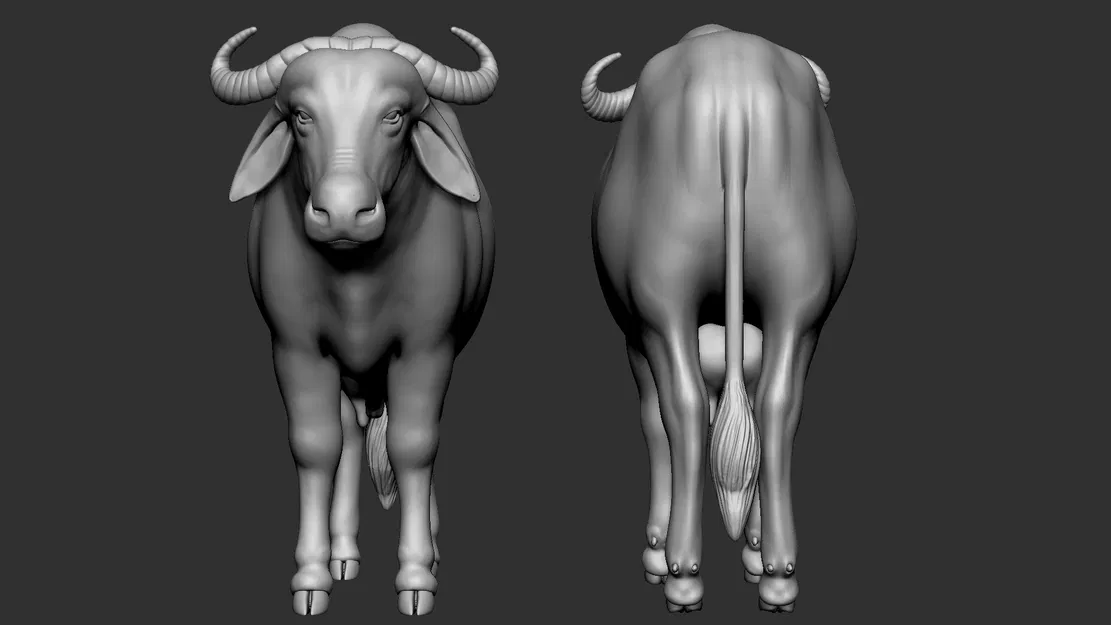 Mô hình 3D trâu nước Ấn Độ (Buffalo) chi tiết sống động - Image 2