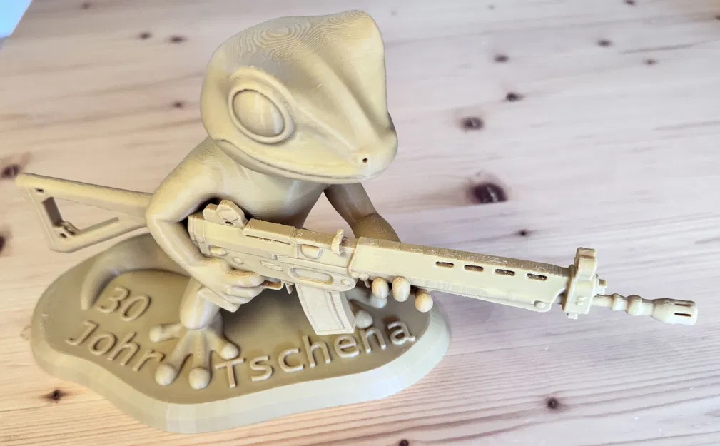 Tắc kè chiến thuật với súng trường Stgw90 - Image 3