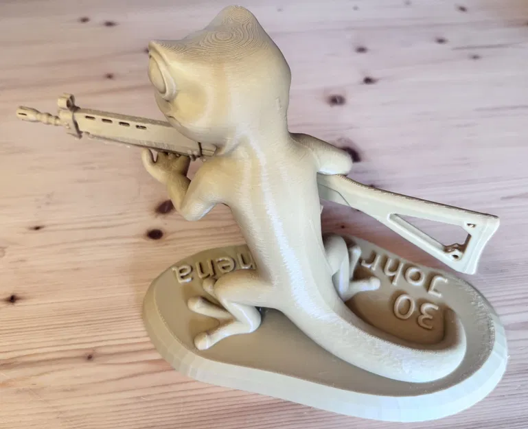 Tắc kè chiến thuật với súng trường Stgw90 - Image 4