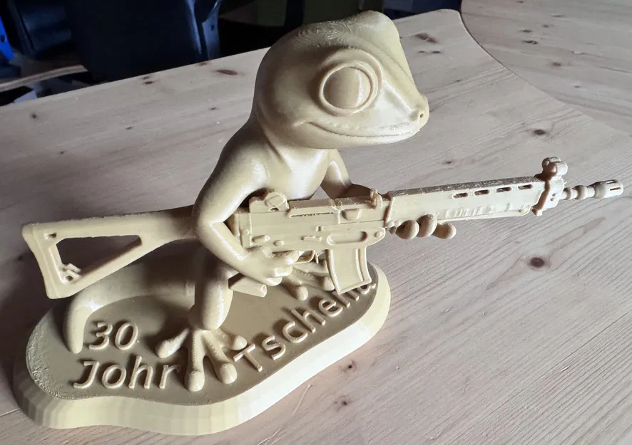 Tắc kè chiến thuật với súng trường Stgw90 - Image 5