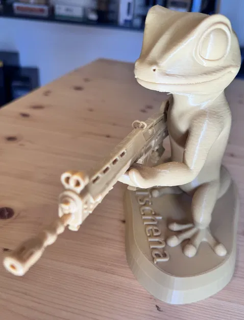 Tắc kè chiến thuật với súng trường Stgw90 - Image 6