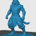 Mô hình Tabaxi Monk - Thumbnail 2