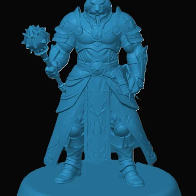 Mô hình Tabaxi Cleric