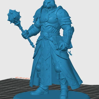 Mô hình Tabaxi Cleric