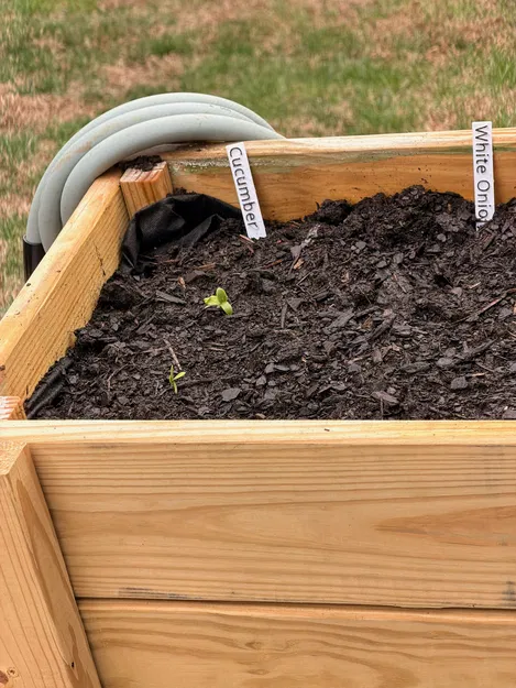 Bộ bảng tên làm vườn Garden Signs - Image 1