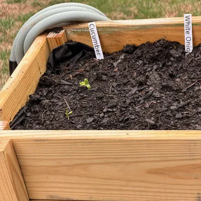 Bộ bảng tên làm vườn Garden Signs