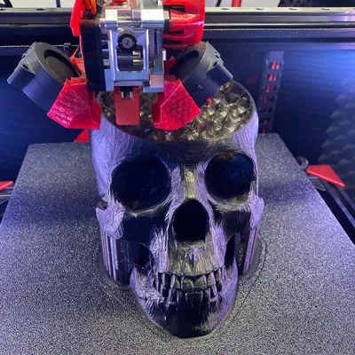 Mô hình Đầu lâu đội vương miện (King Skull crown)