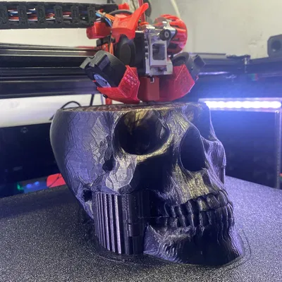 Mô hình Đầu lâu đội vương miện (King Skull crown)