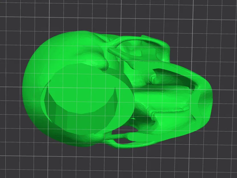 Đầu lâu 3D có lỗ khoét 52mm ở đáy - Image 3