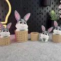 Cute Bunny - Chú Thỏ Đáng Yêu Trong Giỏ - Thumbnail 7