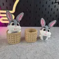Cute Bunny - Chú Thỏ Đáng Yêu Trong Giỏ - Thumbnail 8