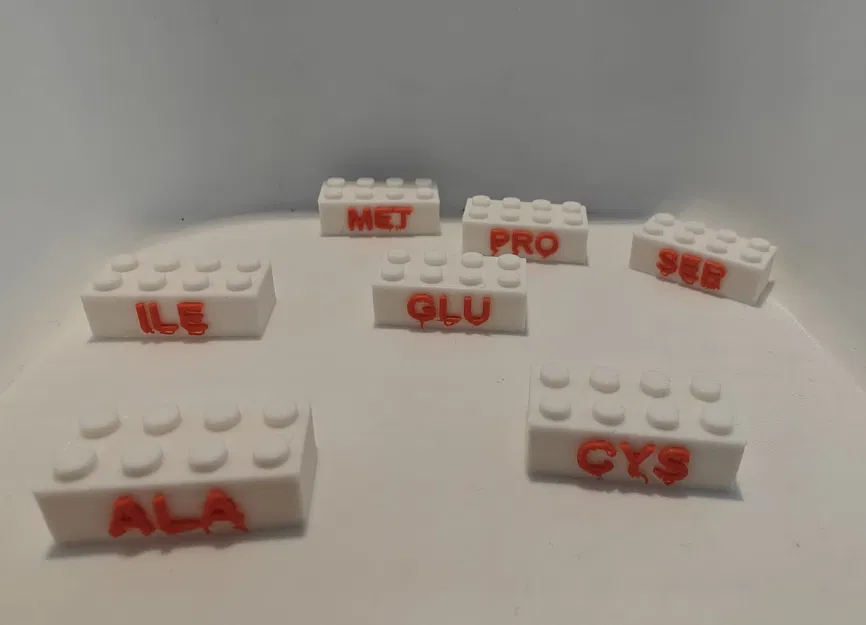 Khối Lắp Ráp Axit Amin (Amino Acid Bricks) - Image 1