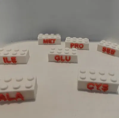 Khối Lắp Ráp Axit Amin (Amino Acid Bricks)